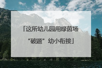 这所幼儿园用绿茵场“破题”幼小衔接