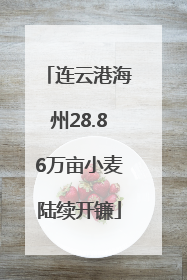 连云港海州28.86万亩小麦陆续开镰