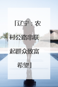 辽宁：农村公路串联起群众致富希望