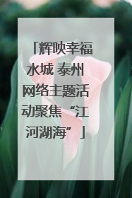 辉映幸福水城 泰州网络主题活动聚焦“江河湖海”