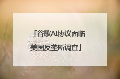 谷歌AI协议面临美国反垄断调查
