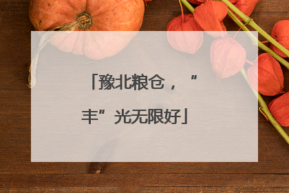 豫北粮仓，“丰”光无限好