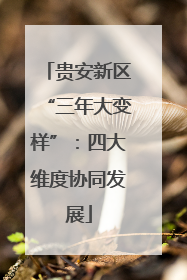 贵安新区“三年大变样”：四大维度协同发展
