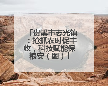 贵溪市志光镇：抢抓农时促丰收，科技赋能保粮安（图）