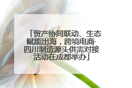 贸产协同联动、生态赋能出海，跨境电商·四川制造源头供需对接活动在成都举办