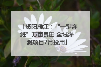 资阳雁江：“一键灌溉”万亩良田 全域灌溉项目7月投用