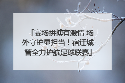 赛场拼搏有激情 场外守护显担当！宿迁城管全力护航足球联赛