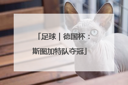 足球｜德国杯：斯图加特队夺冠