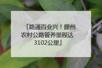 路通百业兴！滕州农村公路管养里程达3102公里