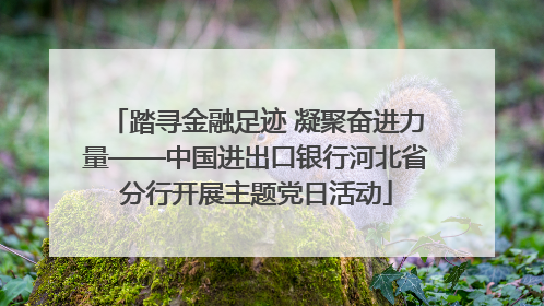 踏寻金融足迹 凝聚奋进力量——中国进出口银行河北省分行开展主题党日活动