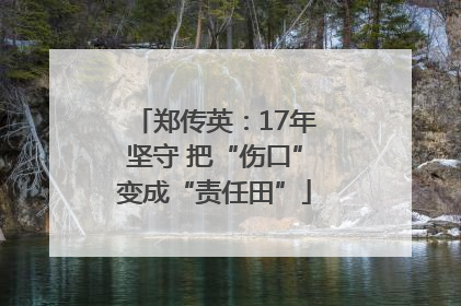 郑传英：17年坚守 把“伤口”变成“责任田”