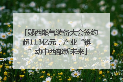 郧西燃气装备大会签约超113亿元，产业“链”动中西部新未来