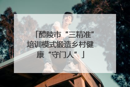 醴陵市“三精准”培训模式锻造乡村健康“守门人”