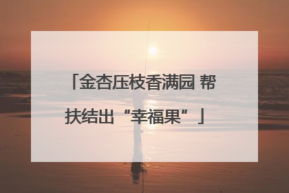 金杏压枝香满园 帮扶结出“幸福果”