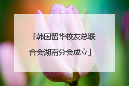 韩国留华校友总联合会湖南分会成立