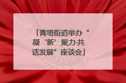 青塔街道举办“凝‘新’聚力·共话发展”座谈会