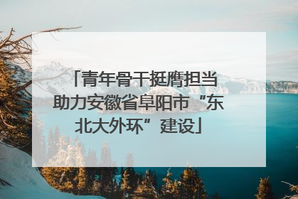青年骨干挺膺担当 助力安徽省阜阳市“东北大外环”建设