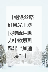 钢铁丝路好风光丨沙良物流园助力中欧班列跑出“加速度”