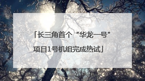 长三角首个“华龙一号”项目1号机组完成热试