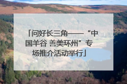 问好长三角——“中国羊谷 善美环州”专场推介活动举行
