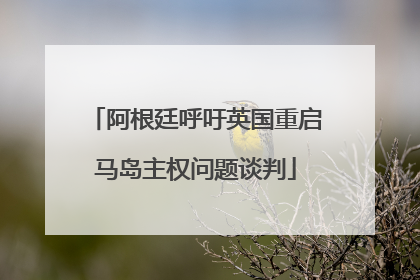 阿根廷呼吁英国重启马岛主权问题谈判