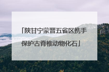 陕甘宁蒙晋五省区携手保护古脊椎动物化石