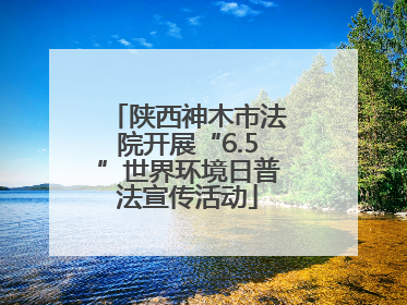 陕西神木市法院开展“6.5”世界环境日普法宣传活动
