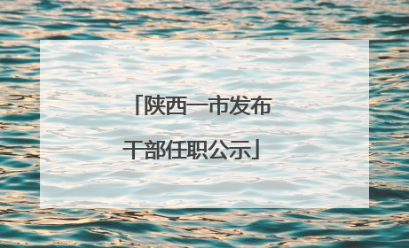 陕西一市发布干部任职公示