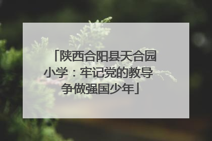 陕西合阳县天合园小学：牢记党的教导 争做强国少年