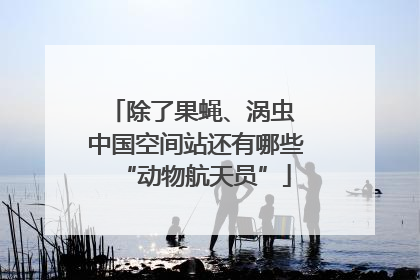 除了果蝇、涡虫 中国空间站还有哪些“动物航天员”