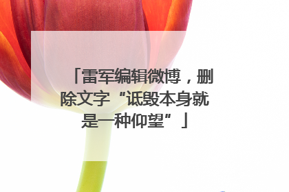 雷军编辑微博，删除文字“诋毁本身就是一种仰望”