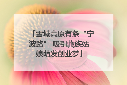 雪域高原有条“宁波路” 吸引藏族姑娘萌发创业梦
