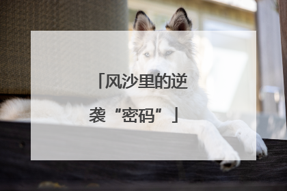 风沙里的逆袭“密码”