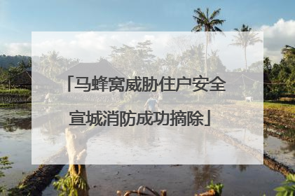 马蜂窝威胁住户安全 宣城消防成功摘除