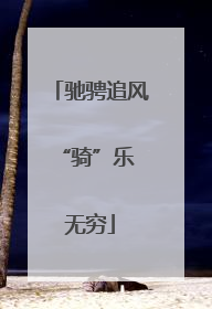驰骋追风 “骑”乐无穷