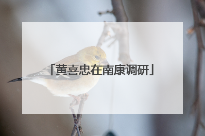 黄喜忠在南康调研