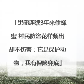 黑熊连续3年来偷蜂蜜 村民防盗花样频出却不伤害：它是保护动物，我有保险兜底