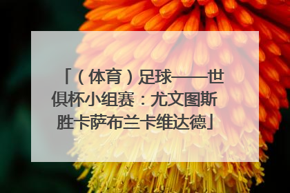 （体育）足球——世俱杯小组赛：尤文图斯胜卡萨布兰卡维达德