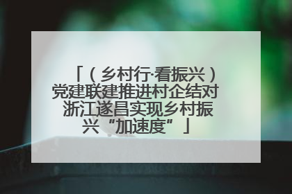 （乡村行·看振兴）党建联建推进村企结对 浙江遂昌实现乡村振兴“加速度”