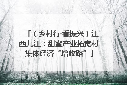 （乡村行·看振兴）江西九江：甜蜜产业拓宽村集体经济“增收路”