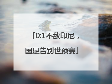 0:1不敌印尼，国足告别世预赛