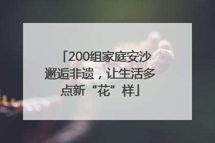 200组家庭安沙邂逅非遗，让生活多点新“花”样