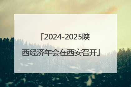 2024-2025陕西经济年会在西安召开