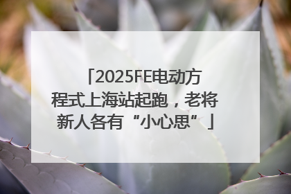 2025FE电动方程式上海站起跑，老将新人各有“小心思”