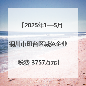 2025年1—5月铜川市印台区减免企业税费 3757万元