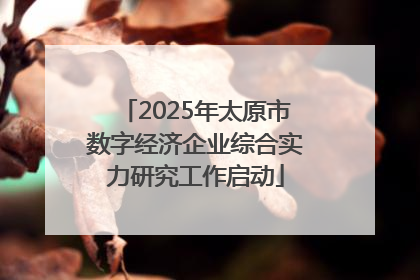 2025年太原市数字经济企业综合实力研究工作启动