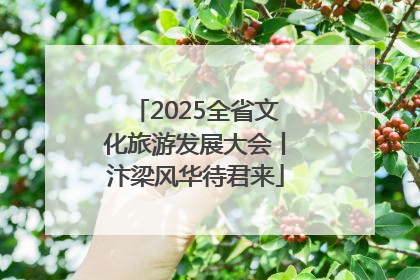 2025全省文化旅游发展大会丨汴梁风华待君来