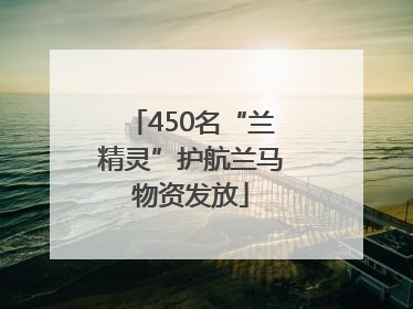 450名“兰精灵”护航兰马物资发放