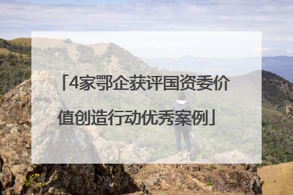 4家鄂企获评国资委价值创造行动优秀案例