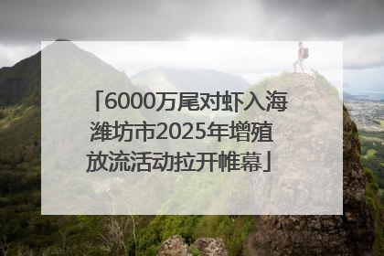 6000万尾对虾入海 潍坊市2025年增殖放流活动拉开帷幕